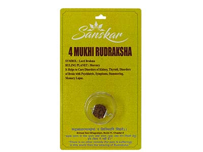 Patanjali 4 Mukhi Rudraksha With Cap